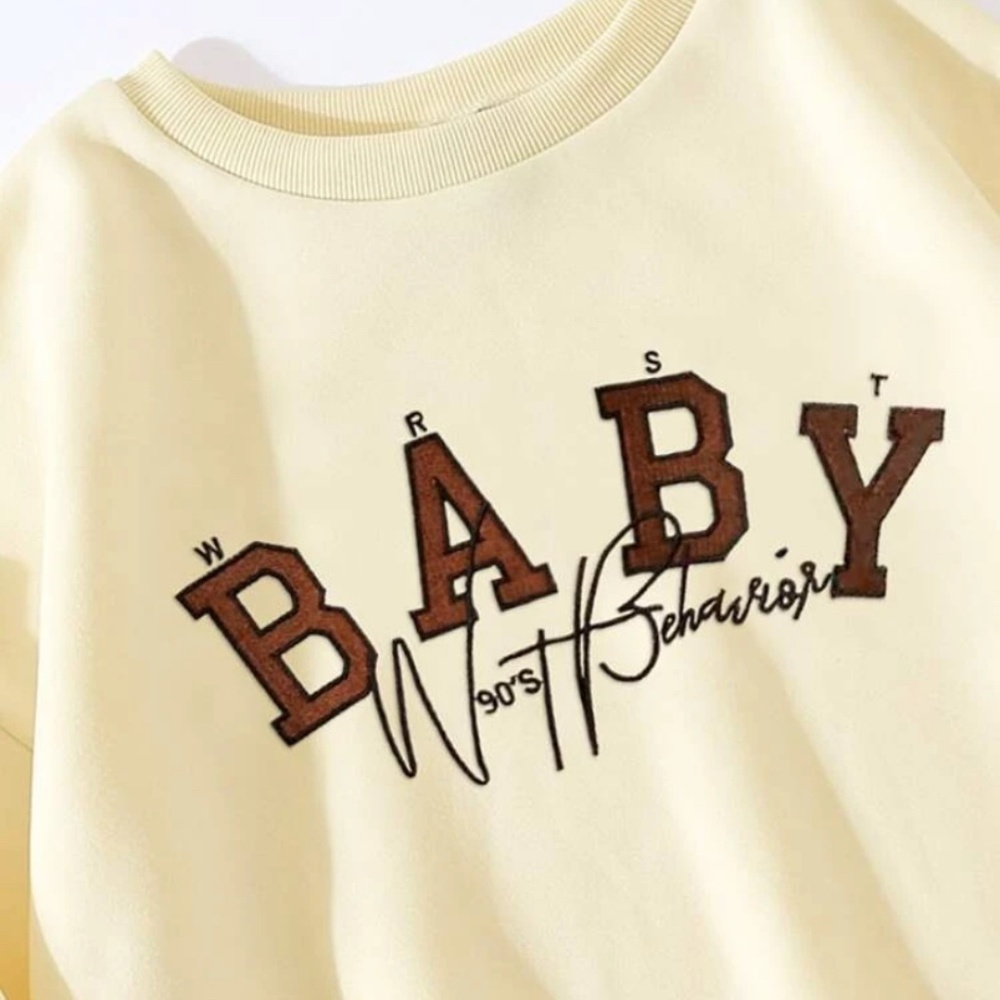 Embroidered Sweatshirt - Picture 2 of 4